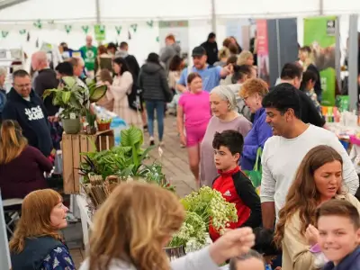 Darlington set for Eco and Wool fairs this weekend